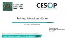 Carpeta informativa No. 166. Pobreza laboral en México