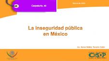 Carpeta No. 48. La inseguridad pública en México.