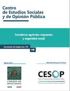 Documento de trabajo. Jornaleros agrícolas migrantes y seguridad social
