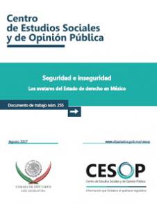 Documento de trabajo. Seguridad e inseguridad. Los avatares del Estado de derecho en México