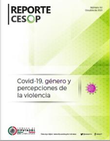 Reporte CESOP. Covid-19, género y percepciones de la violencia