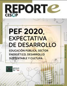 Reporte Cesop. PEF 2020, Expectativa de Desarrollo. Educación Pública, Sector Energético, Desarrollo Sustentable y Cultura