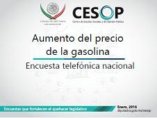 Encuesta telefónica nacional: Aumento del precio de la gasolina