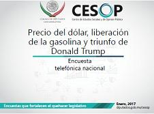 Encuesta telefónica nacional: Precio del dólar, liberación de la gasolina y triunfo de Donald Trump