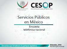 Encuesta telefónica nacional: Servicios Públicos en México