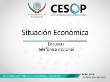 Encuesta telefónica nacional: Situación Económica