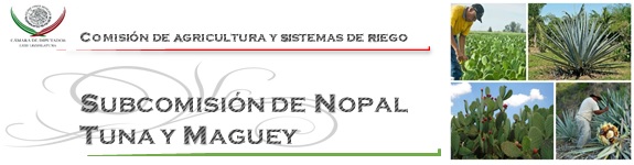 Subcomisión de Nopal, Tuna y Maguey. 