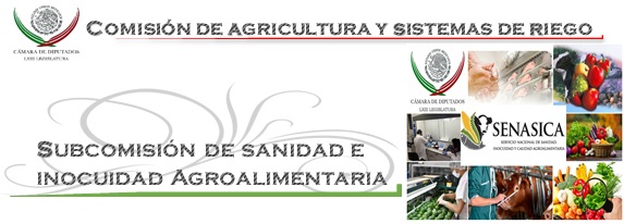 Subcomisión de Sanidad e Inocuidad Agroalimentaria. 