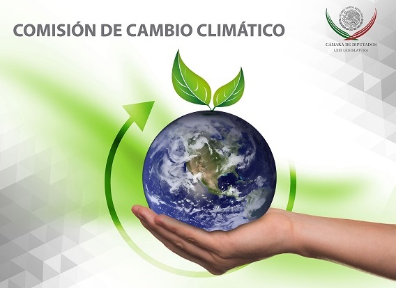 Revista del Programa Mexicano del Carbono