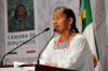 07 agosto 2020 - La Comisión de Pueblos Indígenas, que preside la diputada Irma Juan Carlos