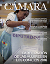 Revista Cámara, numerales 61 - 62